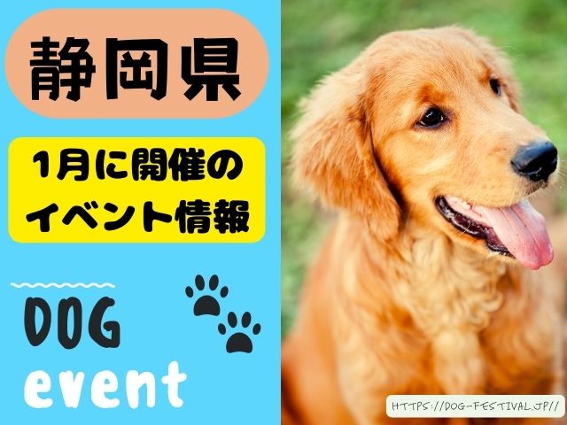 犬イベント　東海地区　静岡県　愛知県　三重県　岐阜県　山梨県　2025年　1月