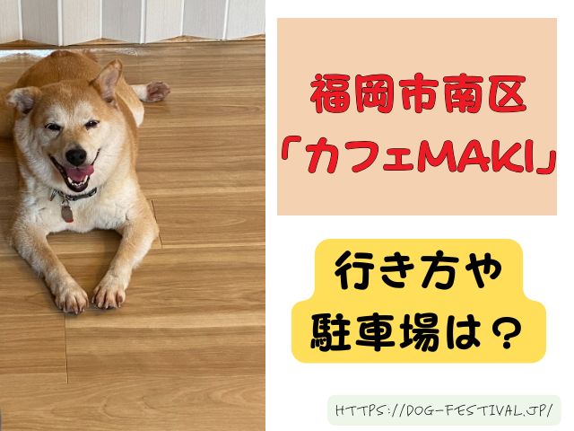 福岡　柴犬カフェ　おすすめ　穴場