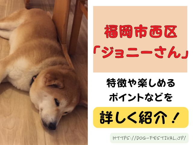 福岡　柴犬カフェ　おすすめ　穴場