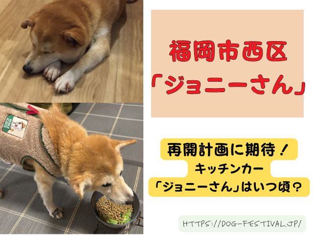 福岡　柴犬カフェ　おすすめ　穴場