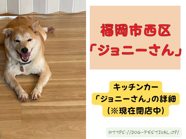 福岡　柴犬カフェ　おすすめ　穴場