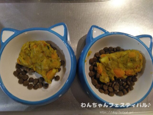 チワワ　手作りご飯　レシピ　おすすめ　犬の管理栄養士　監修