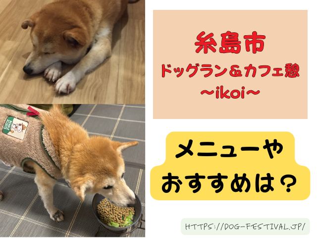 福岡　柴犬カフェ　おすすめ　穴場