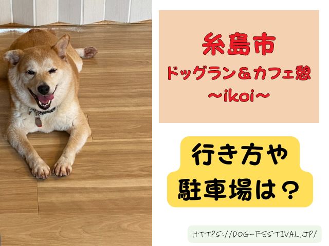 福岡　柴犬カフェ　おすすめ　穴場