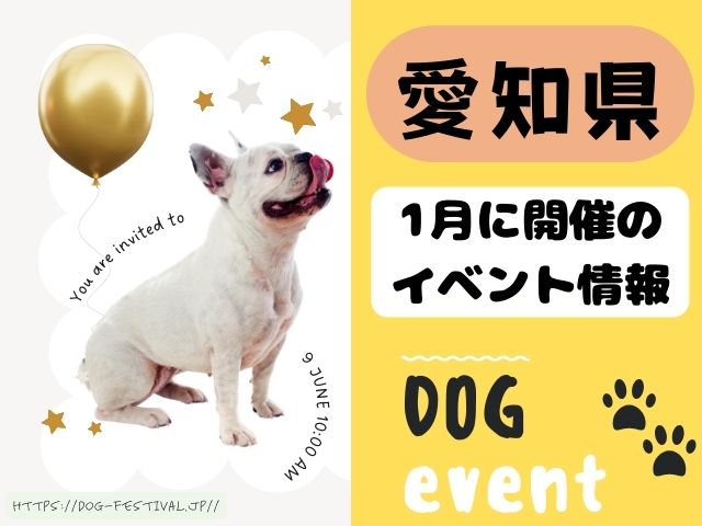 犬イベント　東海地区　静岡県　愛知県　三重県　岐阜県　山梨県　2025年　1月