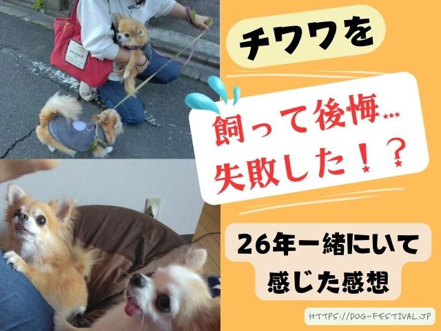 チワワ　飼うんじゃなかった　後悔　体験談　感想