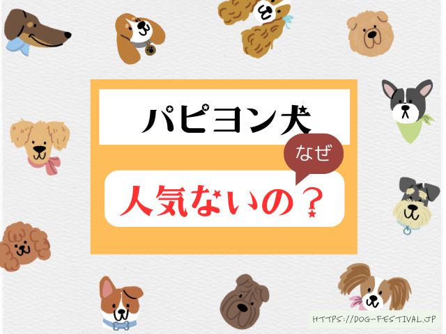 パピヨン　犬　人気ない理由　なぜ　ペットショップ　見かけない