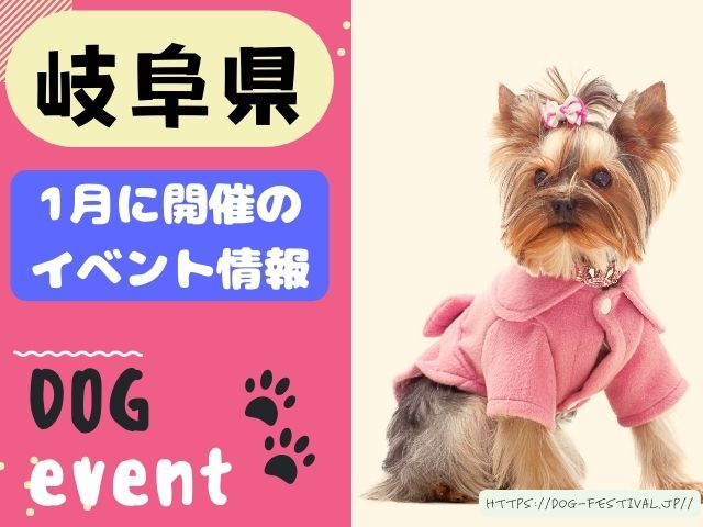 犬イベント　東海地区　静岡県　愛知県　三重県　岐阜県　山梨県　2025年　1月