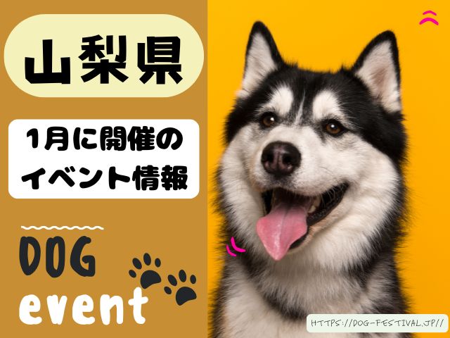 犬イベント　東海地区　静岡県　愛知県　三重県　岐阜県　山梨県　2025年　1月