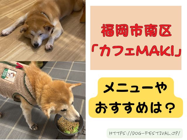 福岡　柴犬カフェ　おすすめ　穴場