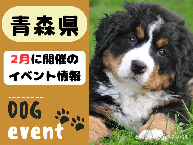 犬イベント　東北地方　青森県　岩手県　秋田県　宮城県　山形県　福島県　2025年　2月