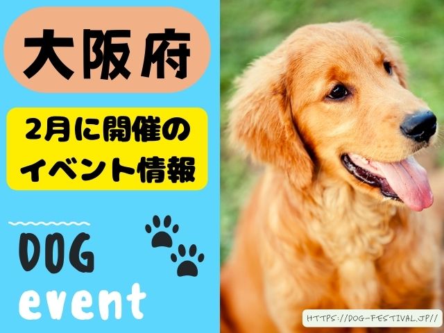 犬イベント　関西　大阪　京都　兵庫　和歌山　奈良　滋賀　2025年　2月