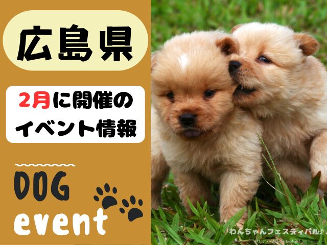 犬イベント　中国地方　広島県　山口県　鳥取県　島根県　2025年　2月