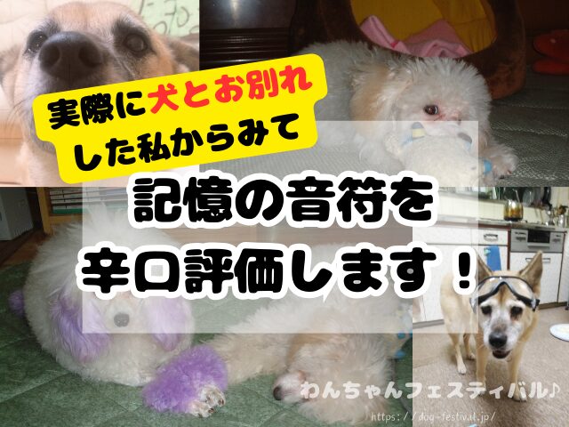 記憶の音符　レビュー　口コミ　評判　感想　怪しい　料金