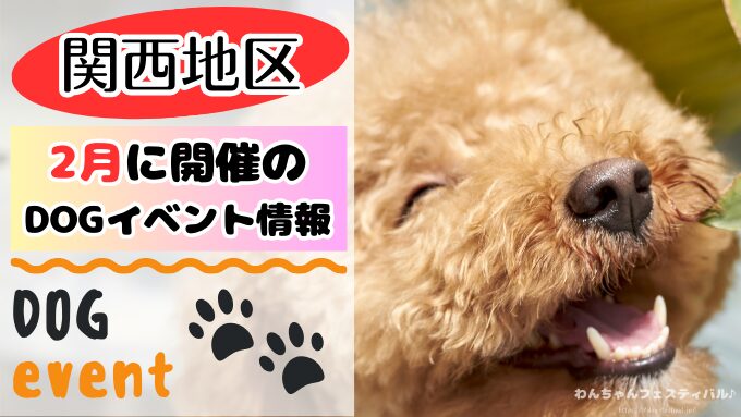 関西　犬イベント　2月