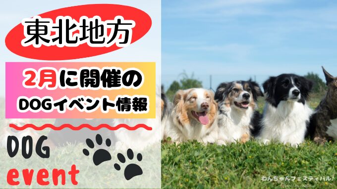 東北地方　犬イベント　2月