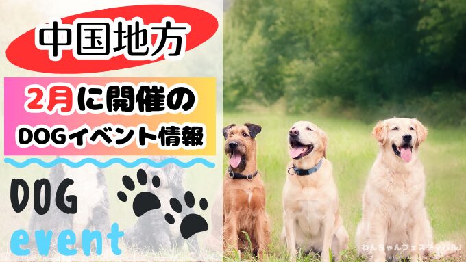 中国地方　犬イベント　2月