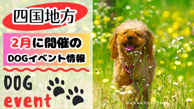 四国　犬イベント　2月　徳島　香川　愛媛　高知