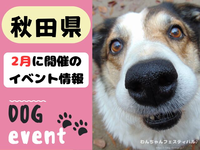 犬イベント　東北地方　青森県　岩手県　秋田県　宮城県　山形県　福島県　2025年　2月