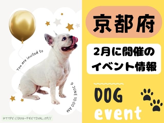 犬イベント　関西　大阪　京都　兵庫　和歌山　奈良　滋賀　2025年　2月