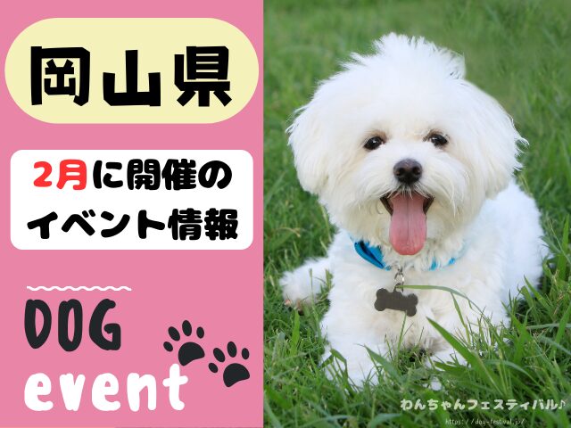 犬イベント　中国地方　広島県　山口県　鳥取県　島根県　2025年　2月