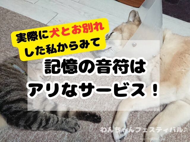 記憶の音符　レビュー　口コミ　評判　感想　怪しい　料金