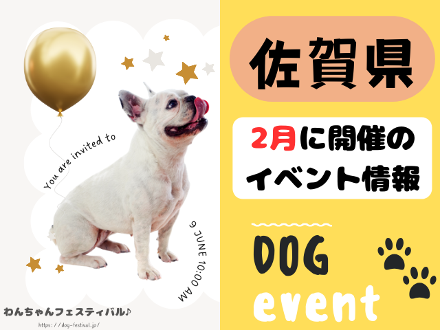 犬イベント　九州　福岡県　佐賀県　長崎県　熊本県　大分県　宮崎県　鹿児島県　2025年　2月