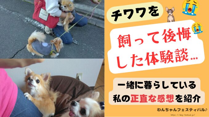 チワワ　飼うんじゃなかった　後悔　体験談　感想