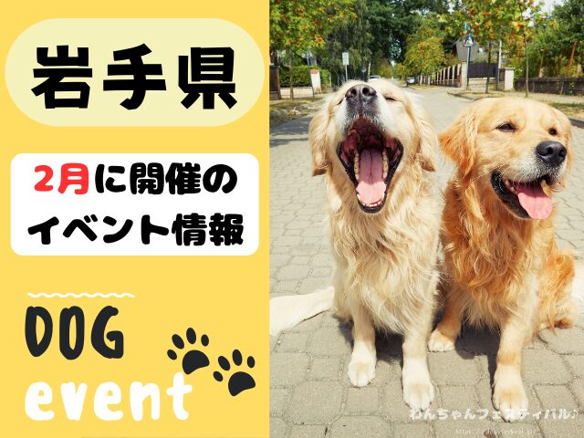 犬イベント　東北地方　青森県　岩手県　秋田県　宮城県　山形県　福島県　2025年　2月