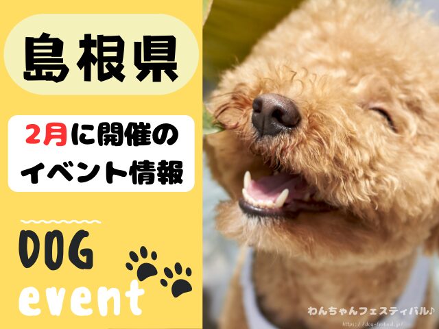 犬イベント　中国地方　広島県　山口県　鳥取県　島根県　2025年　2月