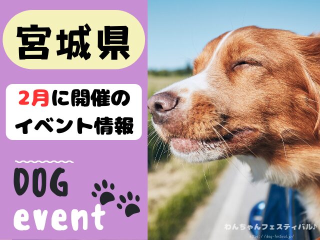 犬イベント　東北地方　青森県　岩手県　秋田県　宮城県　山形県　福島県　2025年　2月