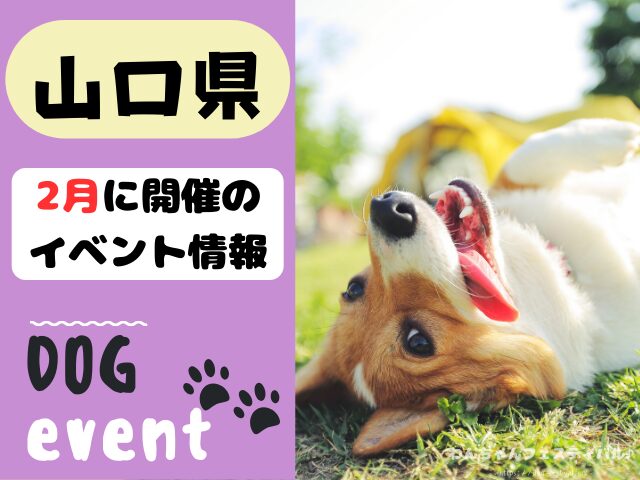 犬イベント　中国地方　広島県　山口県　鳥取県　島根県　2025年　2月