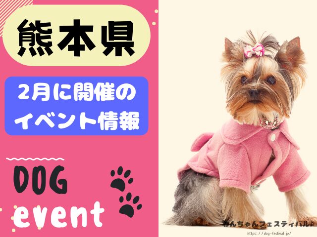 犬イベント　九州　福岡県　佐賀県　長崎県　熊本県　大分県　宮崎県　鹿児島県　2025年　2月