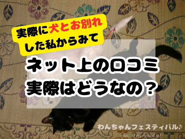 記憶の音符　レビュー　口コミ　評判　感想　怪しい　料金