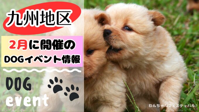 九州　犬イベント　2月