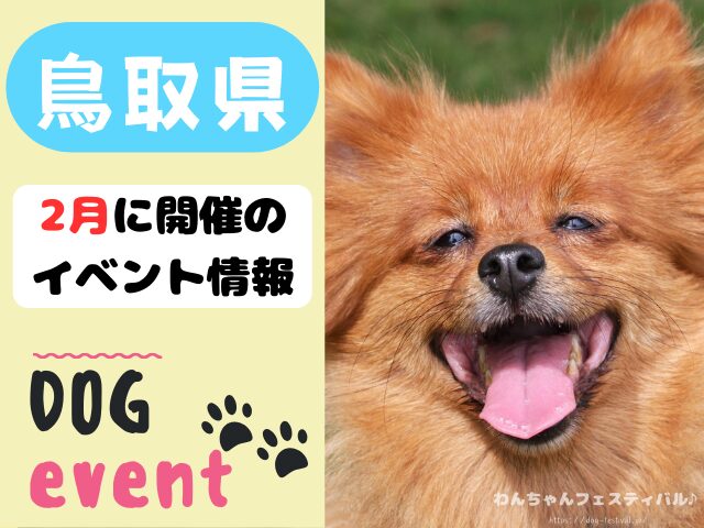 犬イベント　中国地方　広島県　山口県　鳥取県　島根県　2025年　2月