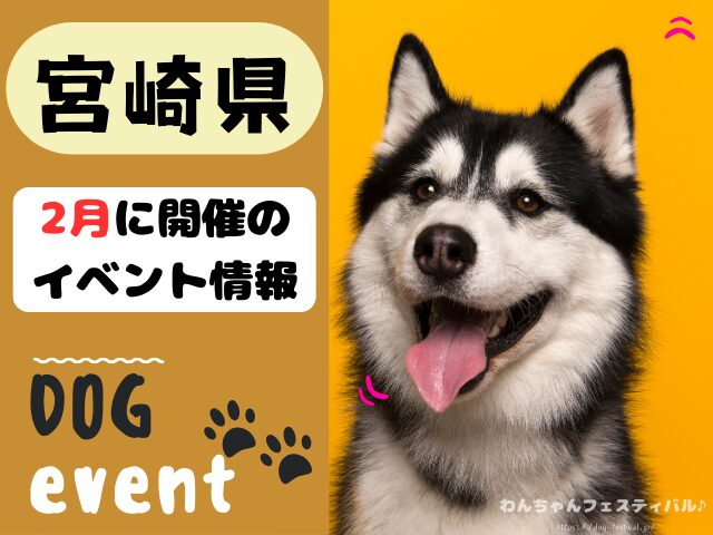 犬イベント　九州　福岡県　佐賀県　長崎県　熊本県　大分県　宮崎県　鹿児島県　2025年　2月