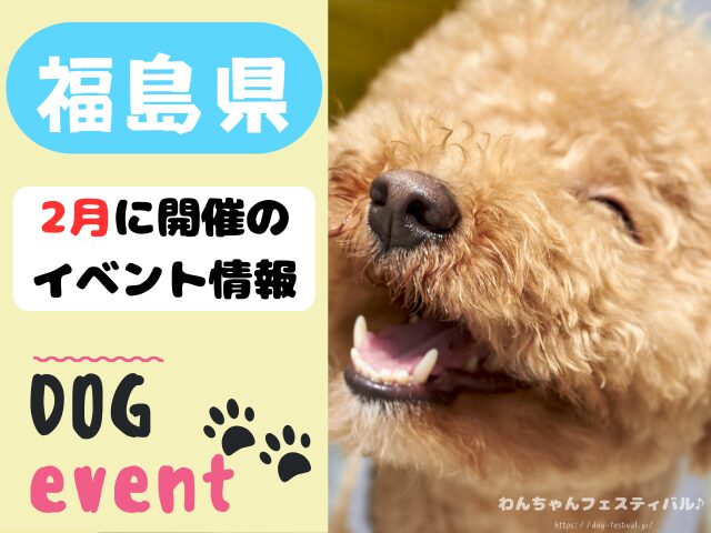 犬イベント　東北地方　青森県　岩手県　秋田県　宮城県　山形県　福島県　2025年　2月