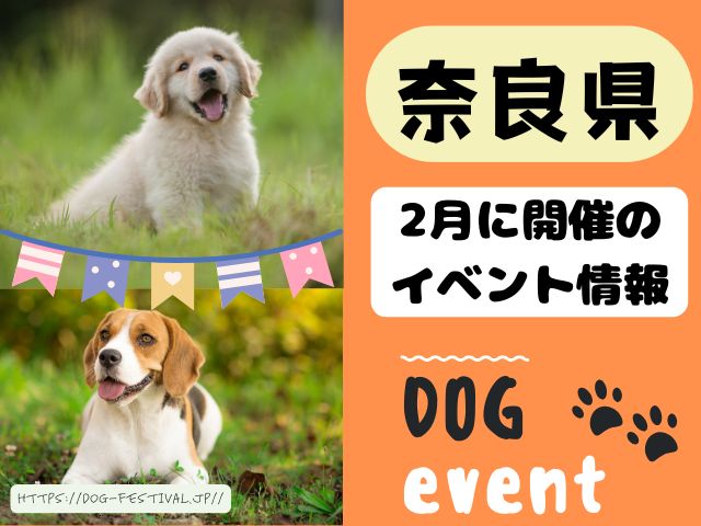 犬イベント　関西　大阪　京都　兵庫　和歌山　奈良　滋賀　2025年　2月