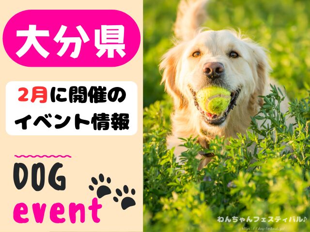 犬イベント　九州　福岡県　佐賀県　長崎県　熊本県　大分県　宮崎県　鹿児島県　2025年　2月