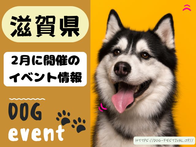 犬イベント　関西　大阪　京都　兵庫　和歌山　奈良　滋賀　2025年　2月