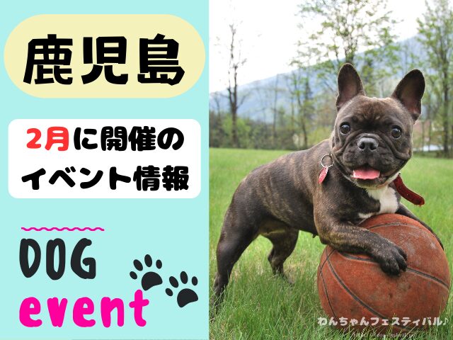 犬イベント　九州　福岡県　佐賀県　長崎県　熊本県　大分県　宮崎県　鹿児島県　2025年　2月