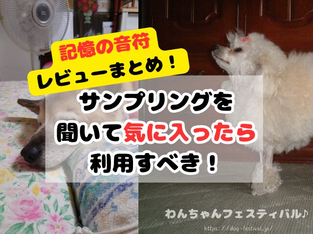 記憶の音符　レビュー　口コミ　評判　感想　怪しい　料金