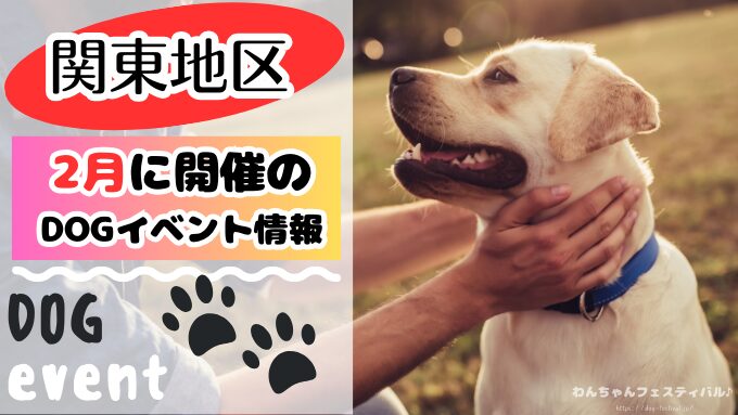 犬イベント　関東　東京　千葉　埼玉　神奈川　群馬　栃木　茨城　2025年　2月