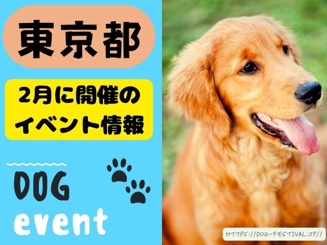 犬イベント　関東　東京　千葉　埼玉　神奈川　群馬　栃木　茨城　2025年　2月