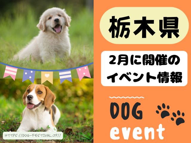 犬イベント　関東　東京　千葉　埼玉　神奈川　群馬　栃木　茨城　2025年　2月