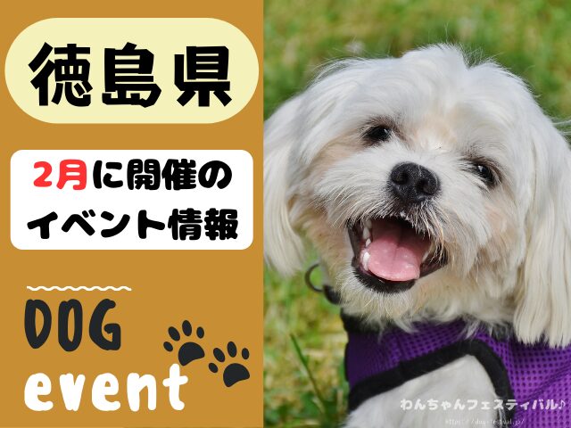 犬イベント　2月　徳島