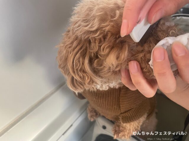 トレゾールブラン　涙やけ　効果　評価　口コミ　TRESOR BLANC　犬　愛犬　汚れ