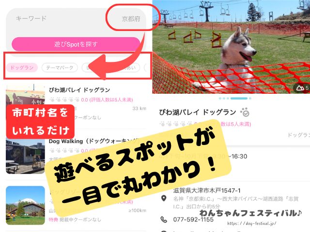 関西　犬イベント