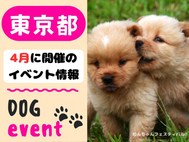 犬イベント　関東　東京　千葉　埼玉　神奈川　群馬　栃木　茨城　2025年　4月